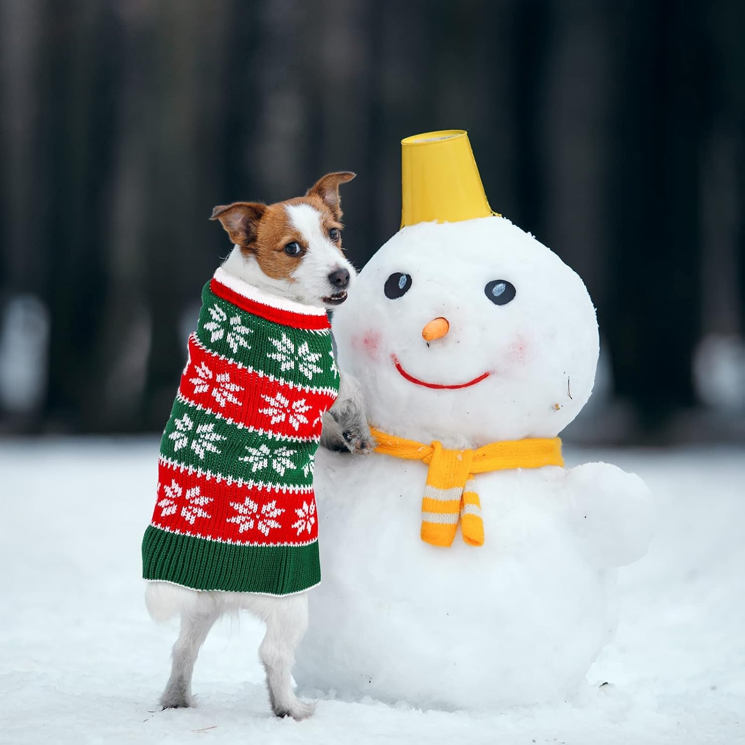 2 Pack Dog Christmas Dress Warm Dog Xmas Sweater Pet Christmas Clothes Stripes Dog Knit Sweater Dress Dog Winter Warm Pullover with Snowflakes and Christmas Flowers (M)