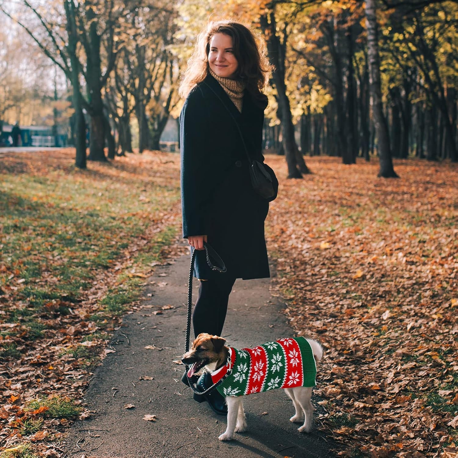 2 Pack Dog Christmas Dress Warm Dog Xmas Sweater Pet Christmas Clothes Stripes Dog Knit Sweater Dress Dog Winter Warm Pullover with Snowflakes and Christmas Flowers (M)